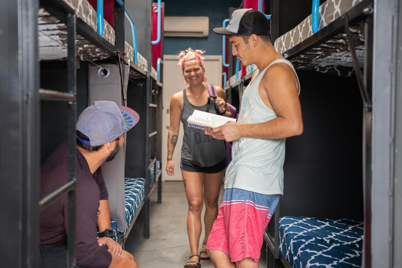 California Dreams - Pacific Albergue San Diego